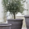 Bergs Potter - ruukku Campana RAW Grey, Ø 60 cm