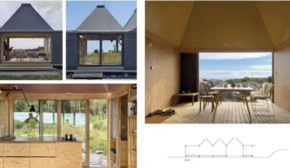 Wood - Cozy Interiors for Timeless Living Spaces kirja